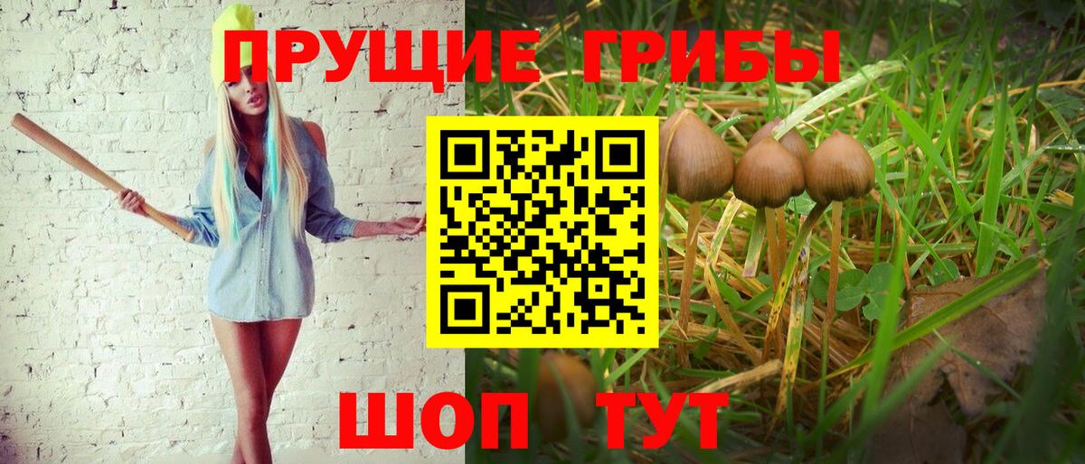 Псилоцибиновые грибы Magic Shrooms  Псилоцибиновые грибы GOLDEN TEACHER  Вход с VPN  Волгоград 