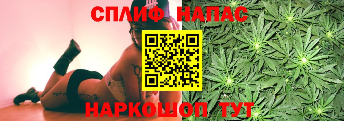 Бошки марихуана план Волгоград